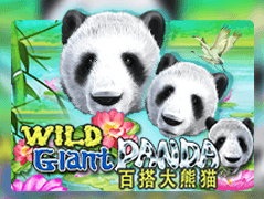 Wild Giant Panda game thumbnail